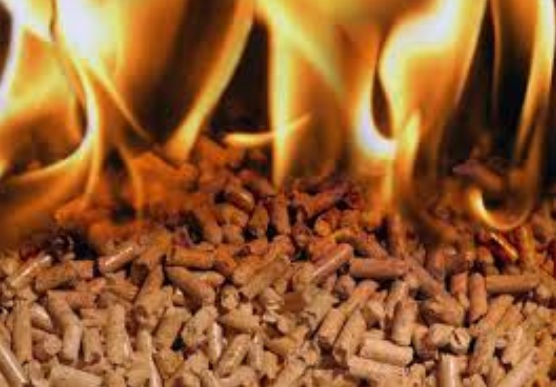 Pasarse a la biomasa le otorgará diversos beneficios.